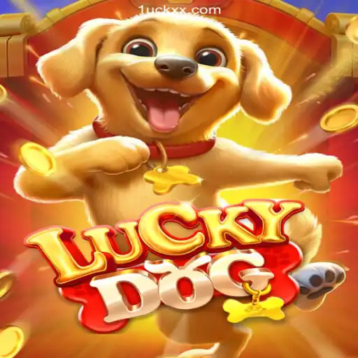 Exploring LuckyDog: Brazil's Premier Online Casino Experience