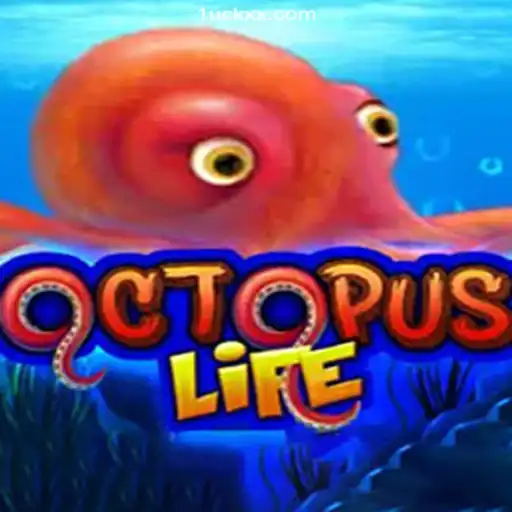 Dive into the Thrilling World of OctopusLife: The Top Online Casino Experience on LuckXX.COM